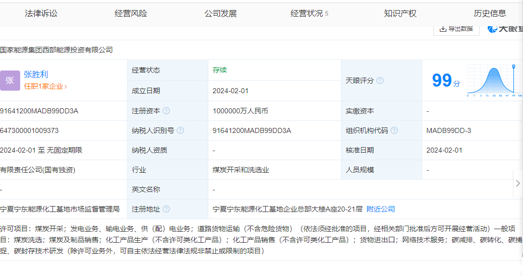 国家能源集团西部能源投资有限公司.png